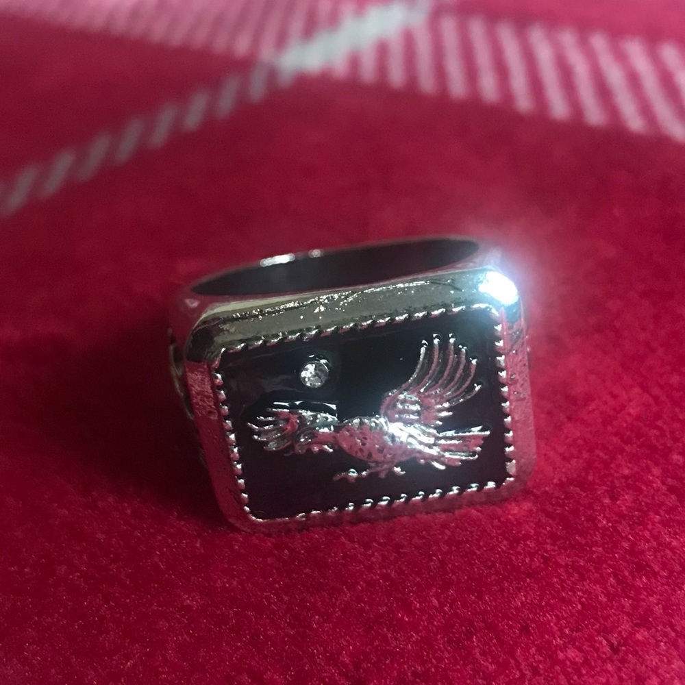 Men’s stainless steel ring